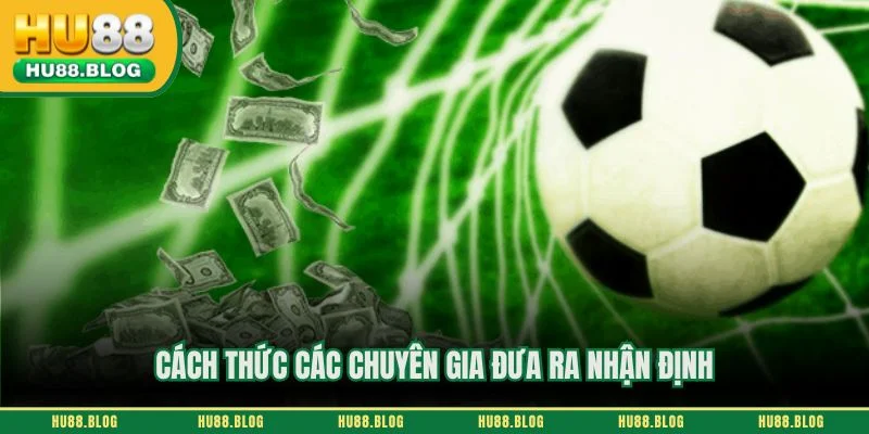 Cách thức các chuyên gia đưa ra nhận định