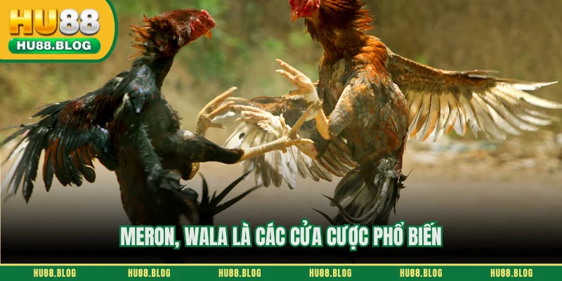 Meron, Wala là các cửa cược phổ biến