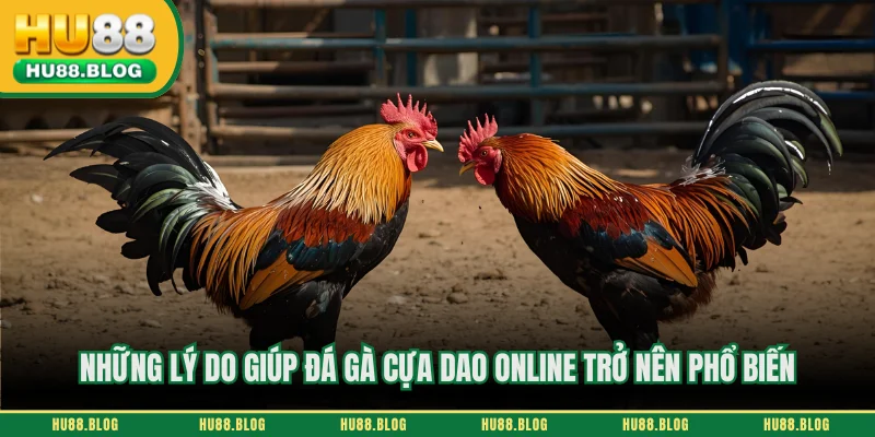 Những lý do giúp đá gà cựa dao online trở nên phổ biến