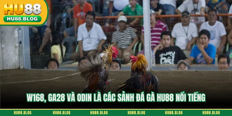 W168, Ga28 và ODIN là các sảnh đá gà HU88 nổi tiếng